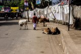 Dhaka
