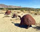 Tortoises by Ricardo Arroyo Breceda in Borrego Springs, CA.