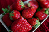 CR2_1781 Red
