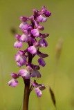 2014-05-14_7566.jpg