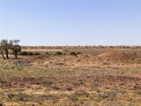 Traveling along the Birdsville Track