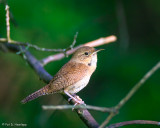 Sitting quietly