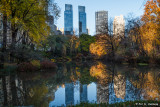Fall in New York