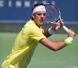 Juan Martin Del Potro, 2013 