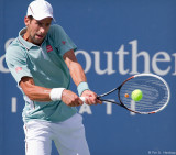 Novak Djokovic, 2013 
