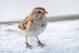 Standing in snow