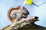 Meal time