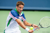 Tommy Robredo, 2014