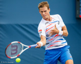 Vasek Pospisil, 2014