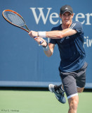 Andy Murray, 2014