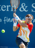 David Ferrer, 2014