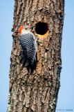 Near the nest
