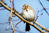 At rest