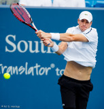 John Isner, 2015