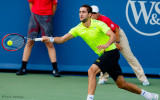 Marin Cilic, 2015