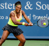 Serena Williams, 2015
