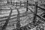 Fence and shadows - B&W