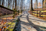 Shadows on a trail