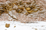Rocky hillside