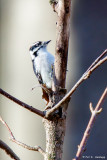 On a tree