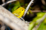 Hiding