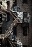 Graffiti escape