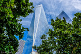 1WTC and trees