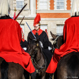 Mounting of the guard