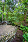 Rocks and trees