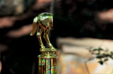 Horses Ass Award