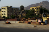 Camel Terminal