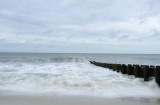 _MG_0501.jpg
