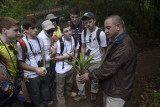 Coudforest ecology