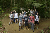 In da Rainforest 