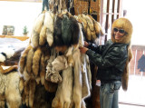 Now Were In Rockton, WI At WILD THINGS FUR.