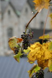 HALLSTATT