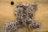 Frühling