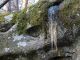 Stalactite hivernale-6047l.jpg