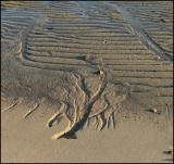 The Atlantic Ocean.  Tides out, and the rushing water left this beautiful tableau.