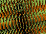 3D Computer Graphic Image 084