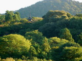 pagoda in the hills.  i <3 kyoto