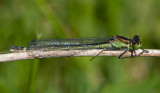  Byaberget Holma Halland