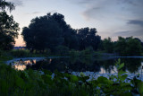 Evening on the Pond