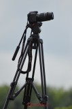 poze_cu_fotografi_21.JPG