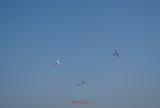 bias_2013-1.JPG