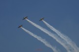 bias_iacarii_acrobati-1.JPG