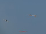 bias_iacarii_acrobati-3.JPG