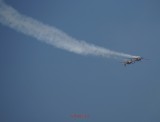 bias_iacarii_acrobati-5.JPG