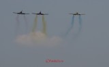 bias_iacarii_acrobati-8.JPG