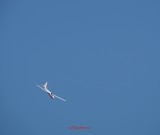 bias_planor_iar-3.JPG